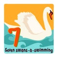 Seven swans-a-swimming. Twelve days of Christmas. Vector illustration Royalty Free Stock Photo