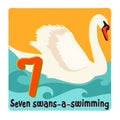 Seven swans-a-swimming. Twelve days of Christmas. Vector illustration