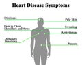 Symptoms of Heart Disease