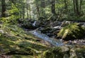 Seven Tubs Waterfall Forest Stream Royalty Free Stock Photo