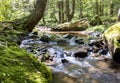 Seven Tubs Waterfall Forest Stream Royalty Free Stock Photo