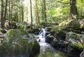 Seven Tubs Waterfall Rocky Forest Stream Royalty Free Stock Photo