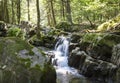 Seven Tubs Waterfall Rocky Forest Stream Royalty Free Stock Photo