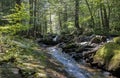 Seven Tubs Waterfall Rocky Forest Stream Royalty Free Stock Photo