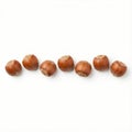 seven whole hazelnuts in shell with ample white space above and below Royalty Free Stock Photo