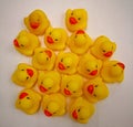 Seventeen yellow rubber ducks with black eyes and red beak. White background Royalty Free Stock Photo