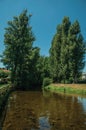 Sever River among trees in Portagem
