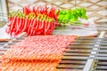 Several Adana Kebab skewers lined up Royalty Free Stock Photo