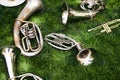 Several ancient musical wind instruments lie on the green grass Royalty Free Stock Photo