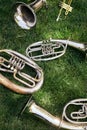 Several ancient musical wind instruments lie on the green grass Royalty Free Stock Photo