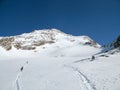 Several backcountry skiers crossing a large alpine glacier on their way to a remote mountain peak under a blue sky in winter