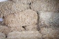 Several bales of rectangular straw stacked on top of each other