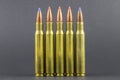 Several Ballistic Tip Rifle Rounds