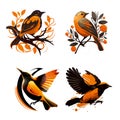 Several beautiful birds sitting on trees on a white background. For your design