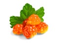 Several berries of cloudberries with a leaf isolated on a white background with clipping paths with shadow and without Royalty Free Stock Photo