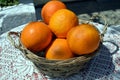 Several biological oranges. Royalty Free Stock Photo