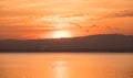 several birds migrating sunset in Albufera of Valencia, Valencia, Spain.