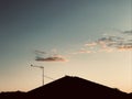 Several birds stopped on the antenna on the roof at sunset evening.