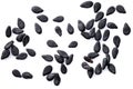 Several black sesame seeds isolated on white background