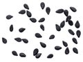 Several black sesame seeds isolated on white background Royalty Free Stock Photo