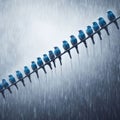 Several blue birds sitting on telegraph wire, in torrential rain