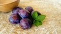 Natural blue plums Royalty Free Stock Photo