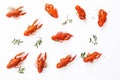Several boiled crawfish isolated on white. top view. Flat lay Royalty Free Stock Photo