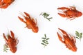 Several boiled crawfish isolated on white. top view. Flat lay Royalty Free Stock Photo