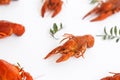 Several boiled crawfish isolated on white. top view. Flat lay Royalty Free Stock Photo