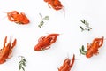 Several boiled crawfish isolated on white. top view. Flat lay Royalty Free Stock Photo