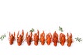 Several boiled crawfish isolated on white. top view. Flat lay Royalty Free Stock Photo