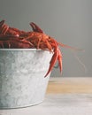 Galvanized steel bucket filled with boiled crawfish. Side view, gray background with copy space. Royalty Free Stock Photo