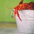 Galvanized steel bucket filled with boiled crawfish. Side view, green background with copy space. Royalty Free Stock Photo