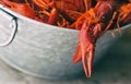 Galvanized steel bucket filled with boiled crawfish. Close view with one crawfish in detailed focus. Royalty Free Stock Photo