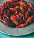 Galvanized steel platter filled with boiled crawfish. Close view, turquoise wood table with copy space. Royalty Free Stock Photo