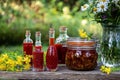 Several bottles of St. John`s wort oil in a garden Royalty Free Stock Photo