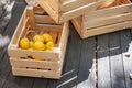 Several boxes on a wooden deck with some lemons