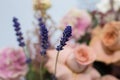Several branches of fresh lavender with pink roses on background. Event decoration with fresh flowers