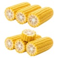 Fresh ripe yellow corn cobs arranged in two groups isolated on white background Royalty Free Stock Photo