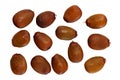 Several brown carob seeds carat or karat