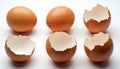 Several brown eggs and broken shells lay on a white surface. Some eggs are whole, others are cracked, revealing their empty Royalty Free Stock Photo