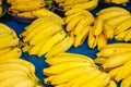 Several bunches of banana displayed for sale. Royalty Free Stock Photo