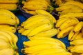 Several bunches of banana displayed for sale. Royalty Free Stock Photo