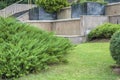 Several bushes with green grass and building in the background