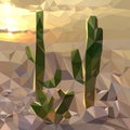 several cacti on the background of the sunset in the desert, evening landscape,multicolored mosaic