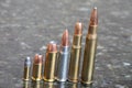 Several Calibers of Bullets