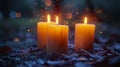 Several candles lit under a night vigil in a dark environment.