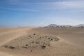 Several cars on the road in the sand dunes