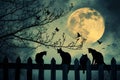 Several cats perched on a fence, with each cat calmly observing their surroundings, Black cats prowling on a fence under the full Royalty Free Stock Photo