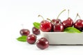 Cherries are housed in white ceramic on a white background.